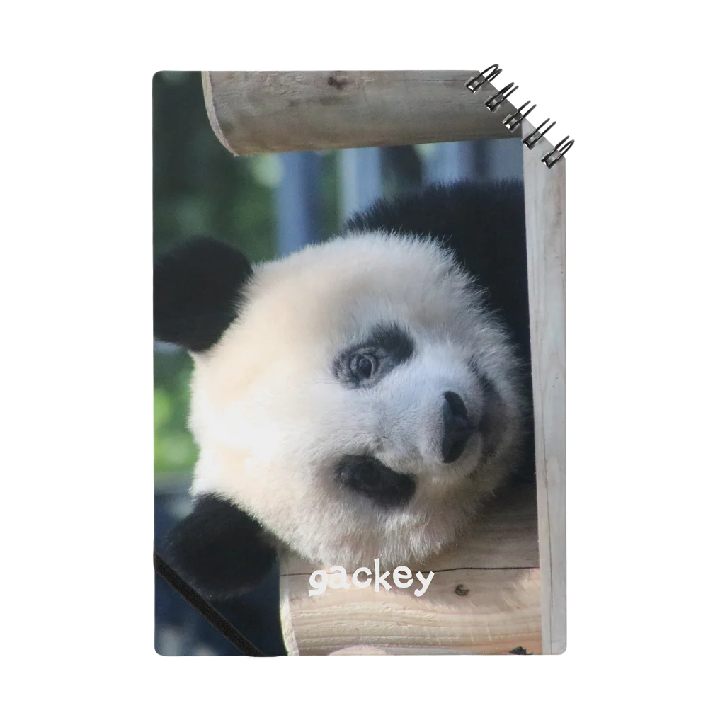 gackeyのひょっこり PANDA ノート