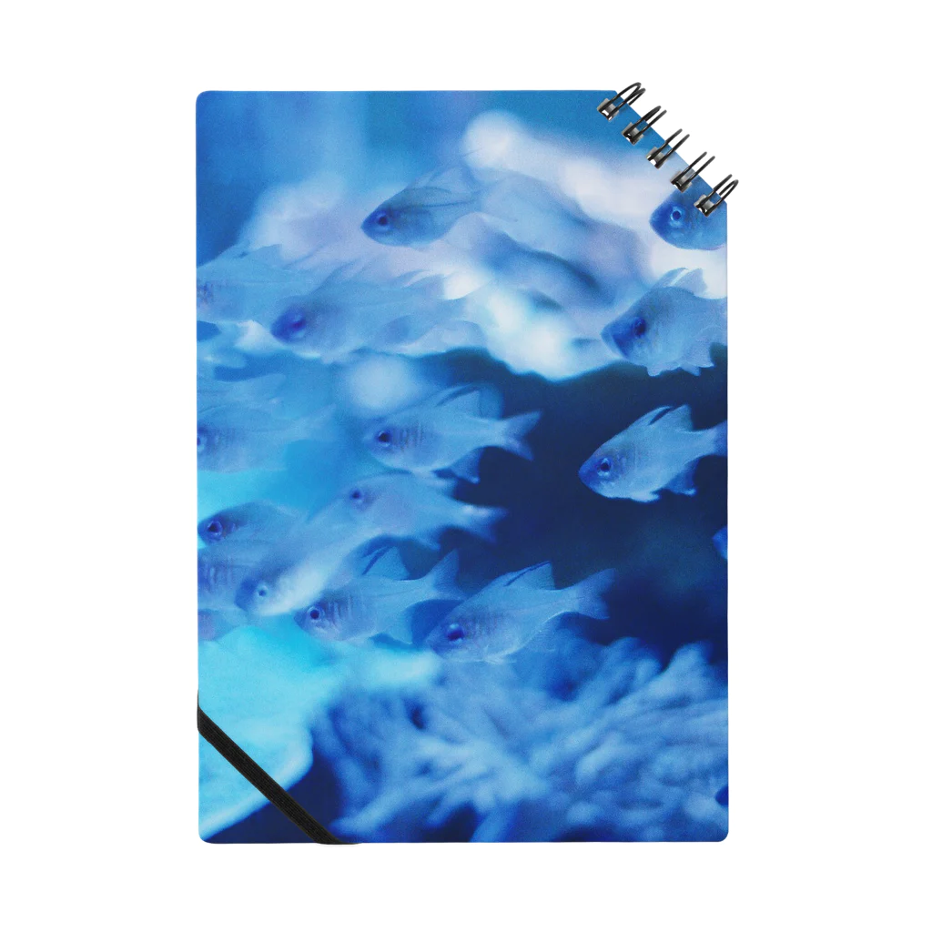 ヒヤコンの青い世界 Notebook