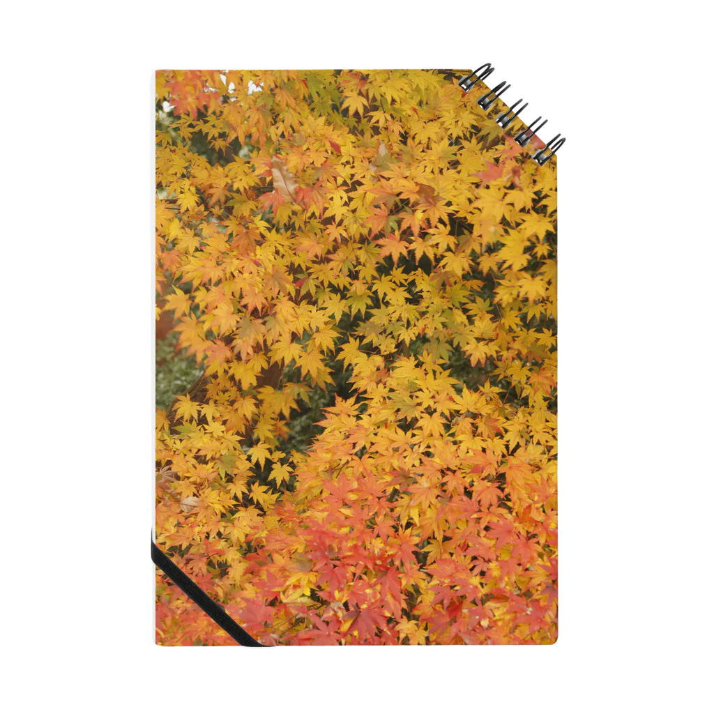 写真的徒然草の紅葉する風景 Notebook