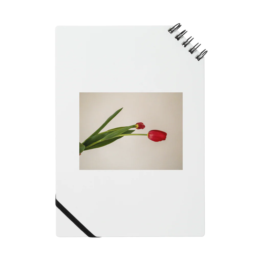 花の文具屋さんのred tulips  Notebook