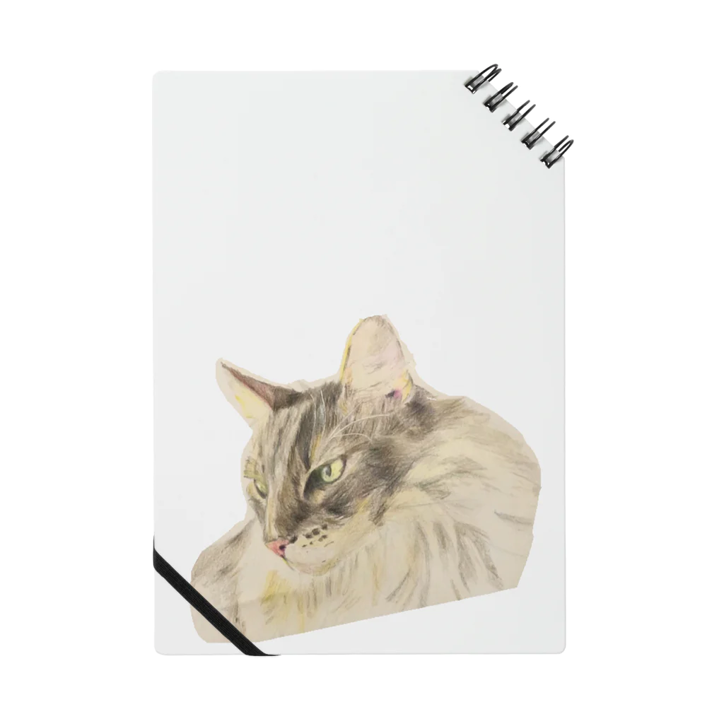 にゃんの猫ちゃんのソマリのRam Notebook