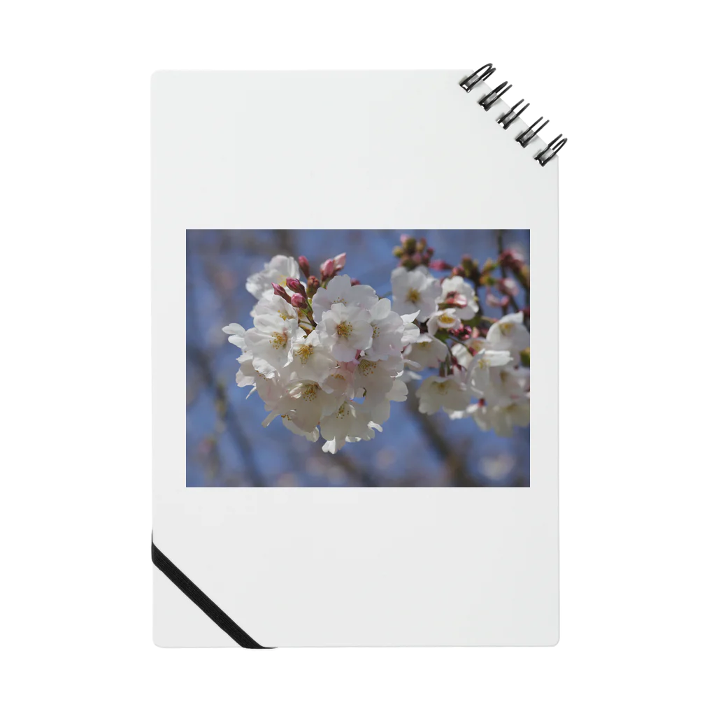 Studio  BLUEの桜2020 Notebook