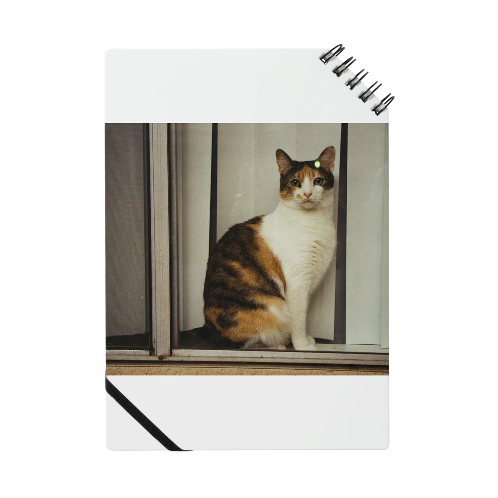 PALMLOVERSの猫のフォト ノート