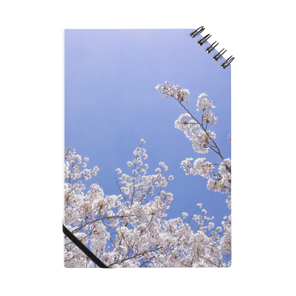 RIKIRIKIのSAKURA Notebook