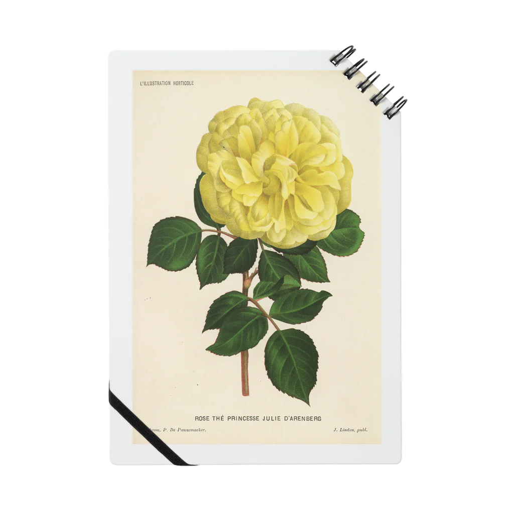 J. Jeffery Print Galleryのベルギーのバラ Notebook