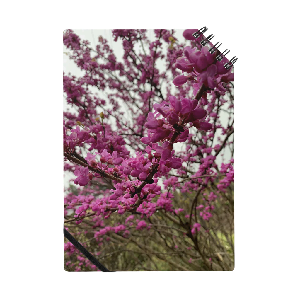 エリア45のウチの庭木の花。 Notebook