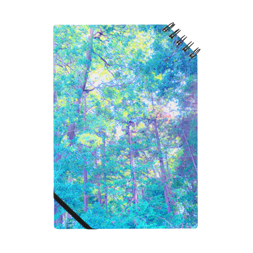 琴璃屋の幻想の森 ノート