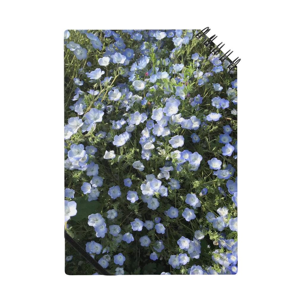 Berry`s BerryのLove Nemophila ノート