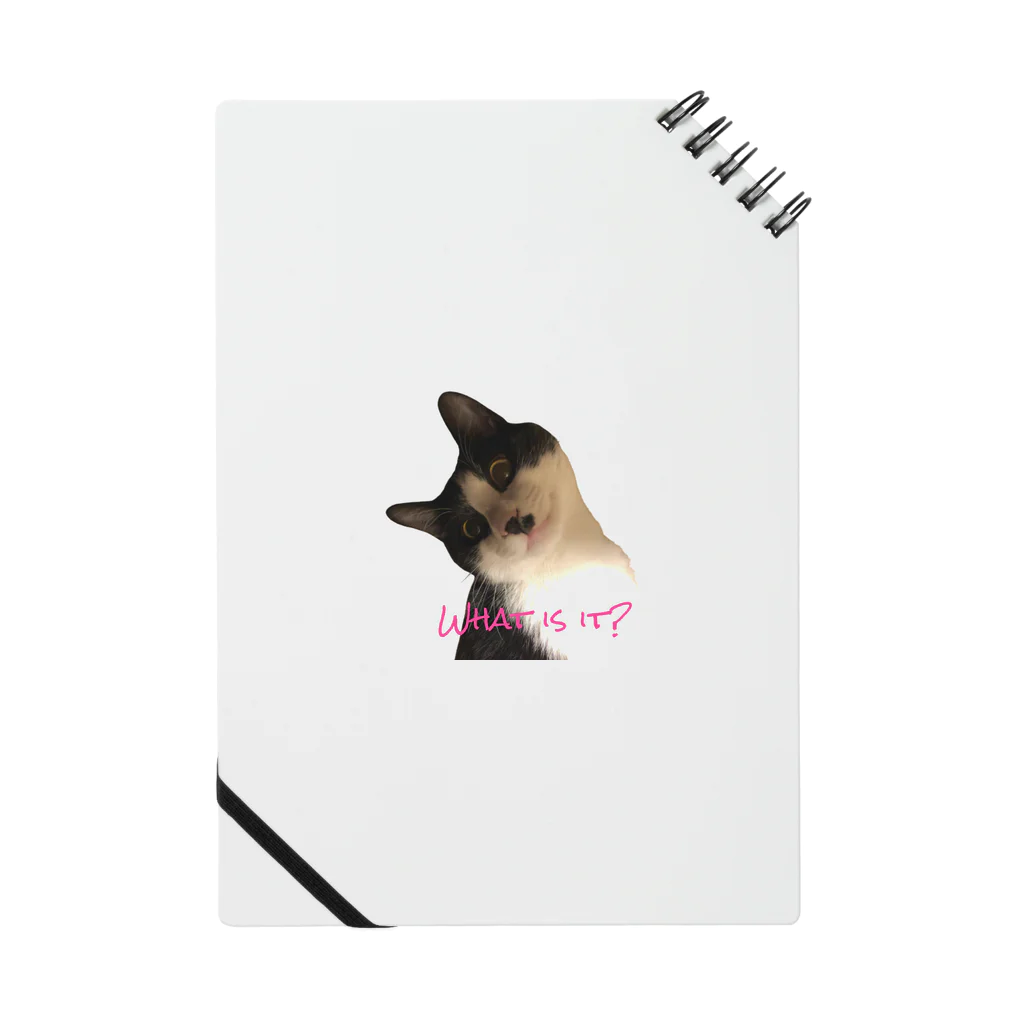 mooncatのMy cat R Notebook