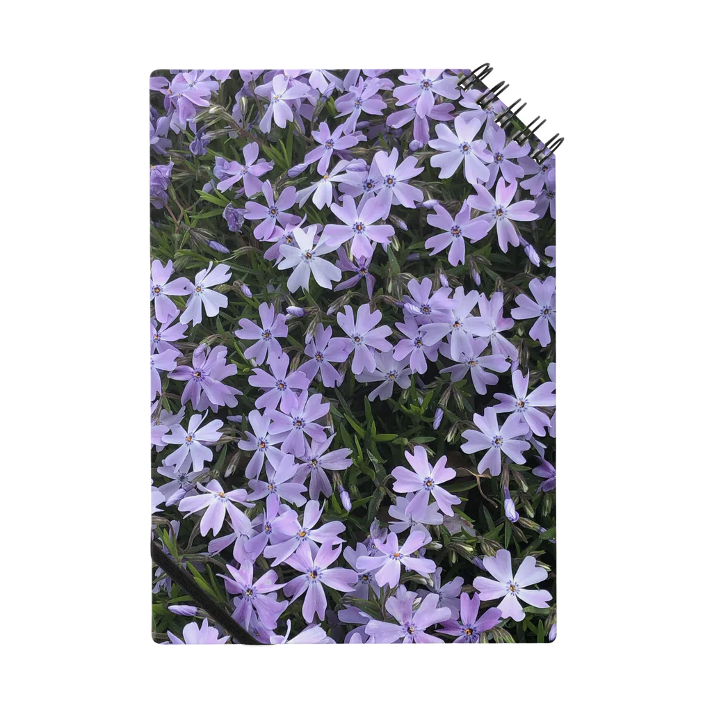 金欠ちゃんのなんか紫の花 Notebook