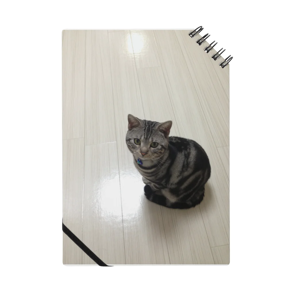 まこにぃ。のゆずくんGoods Notebook