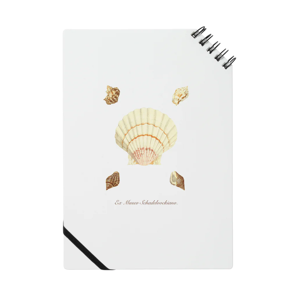 mincora.の貝がら seashells Notebook