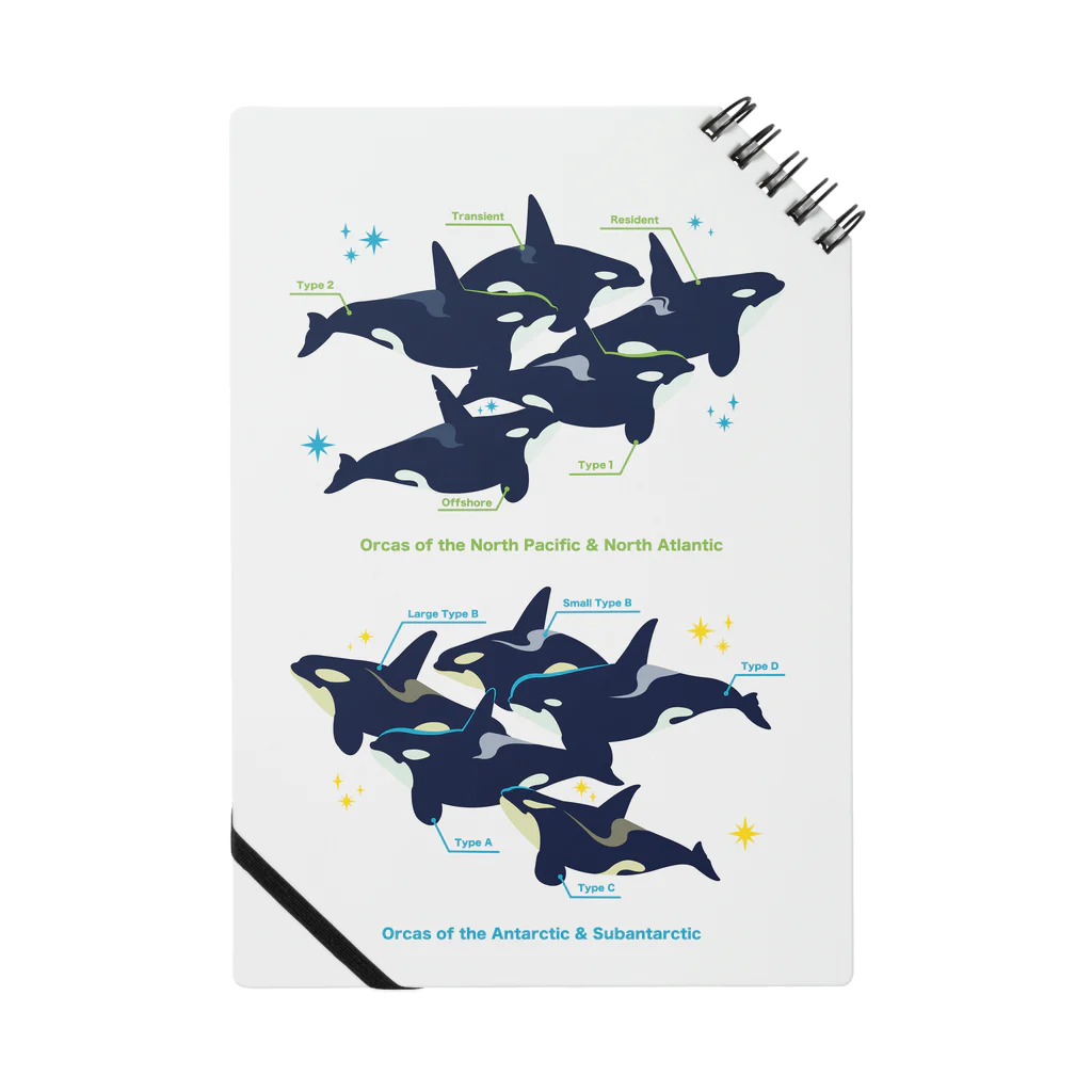 みなとまち層のtype:orcas ノート