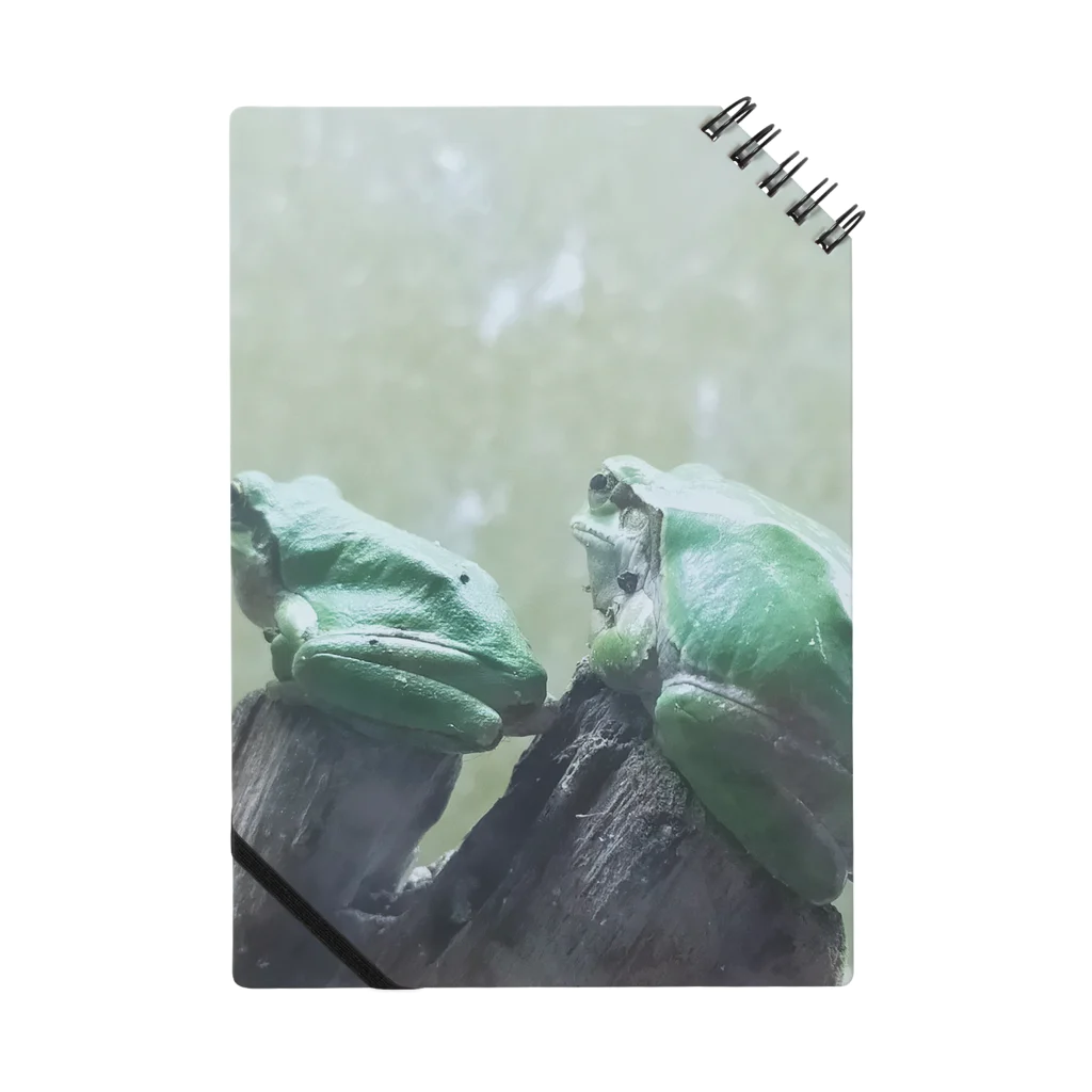 束月ハオルチアのうちのカエルの背ツイン Notebook