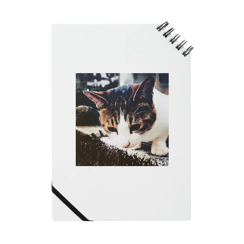 rai_lie_spiralのうつむく猫 ノート