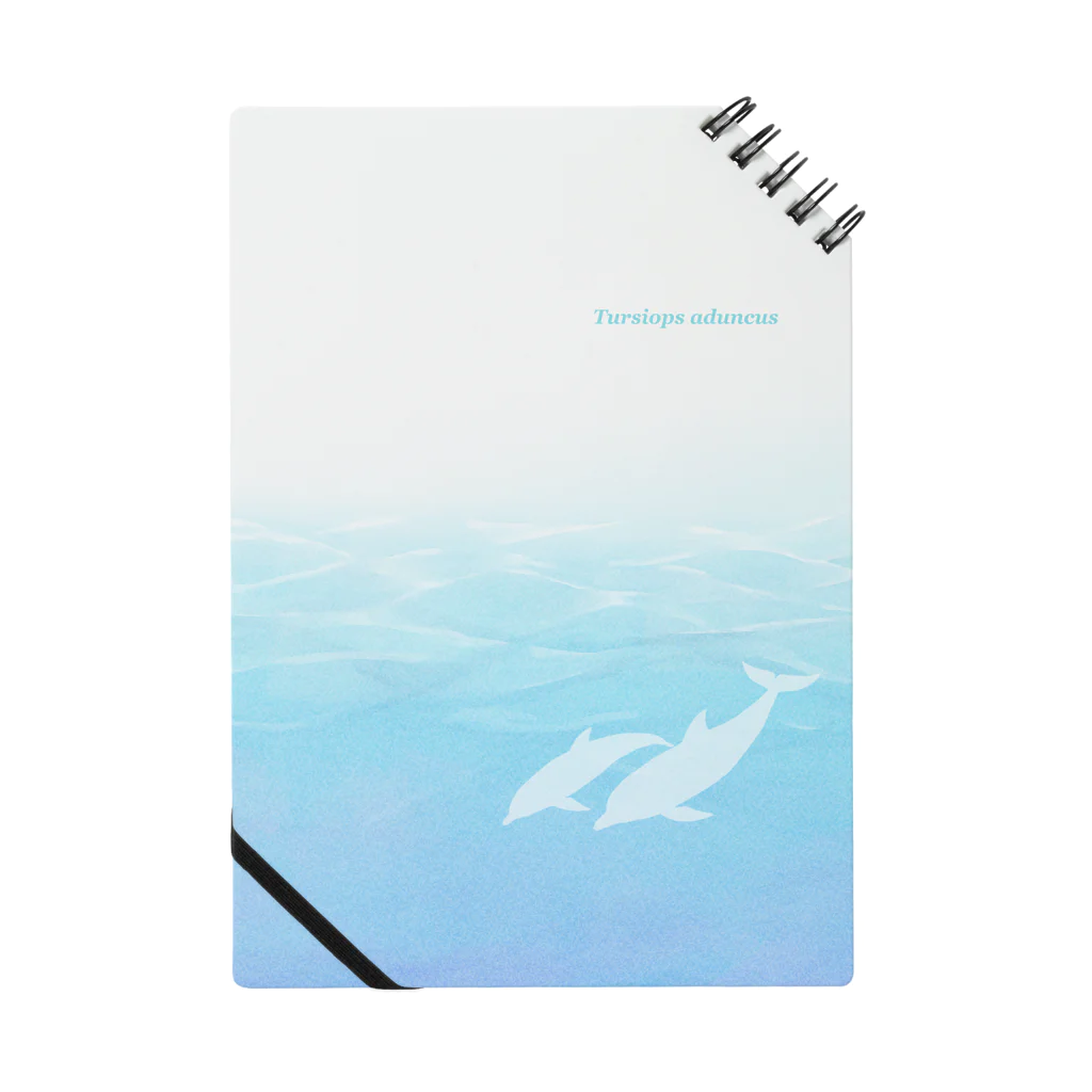 とりしまの海とイルカ Notebook