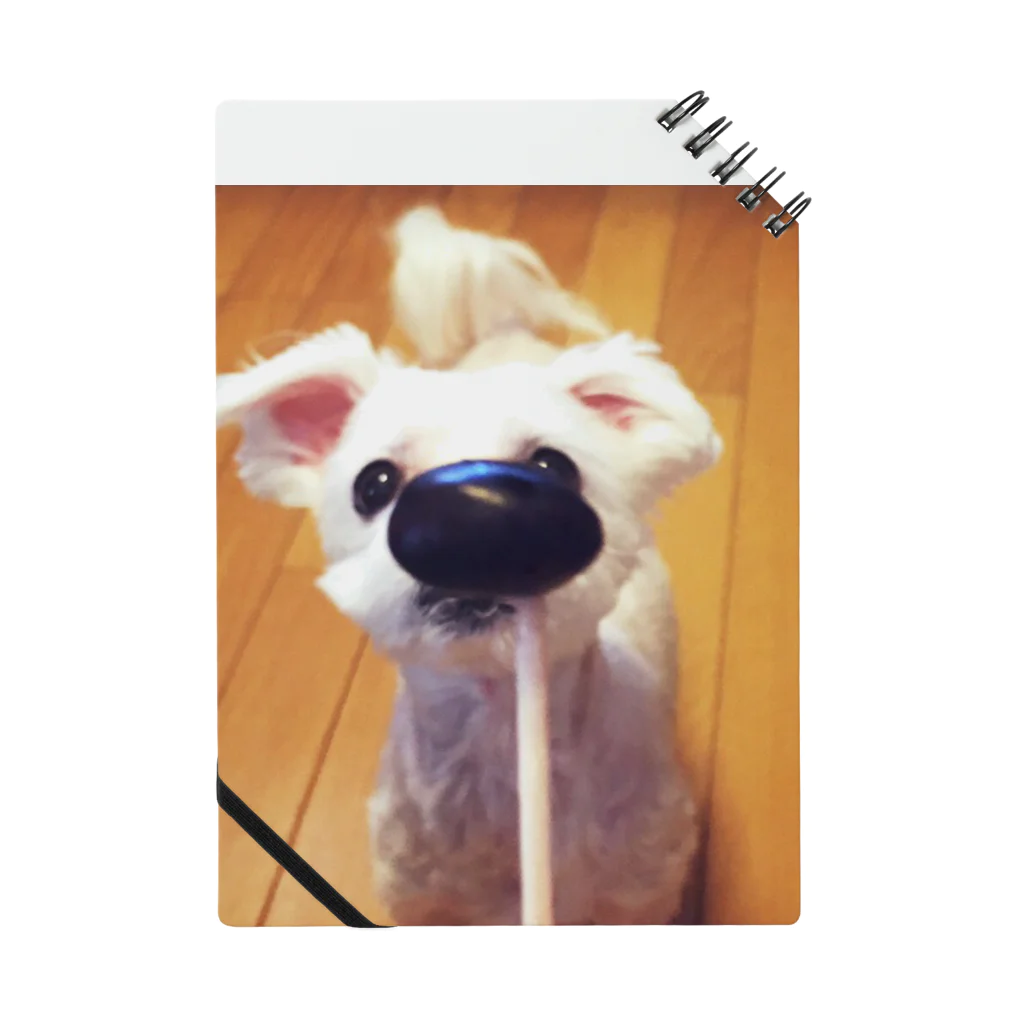 akaneRの犬 ノート