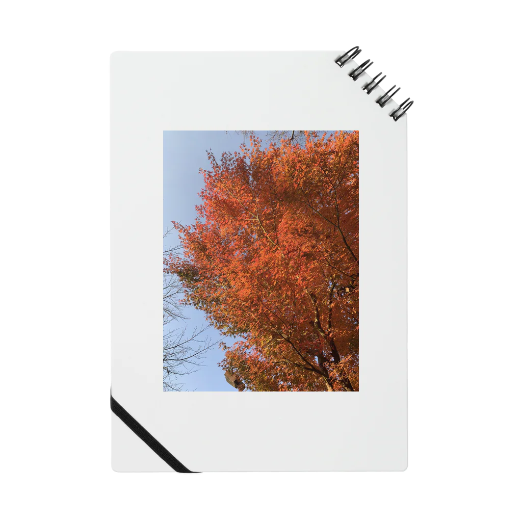キャラバー会の紅葉/秋のアイテム Notebook