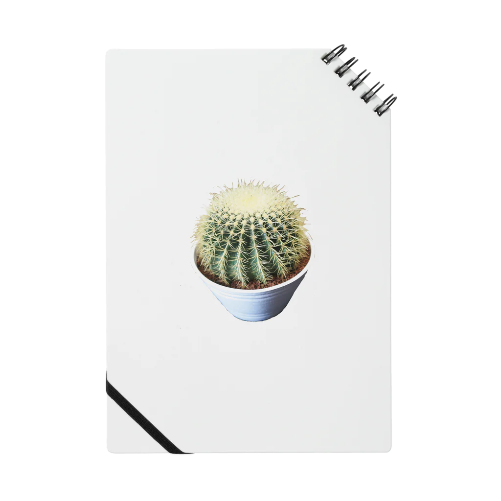 POJO  CACTUSの金鯱 グルソニー ノート