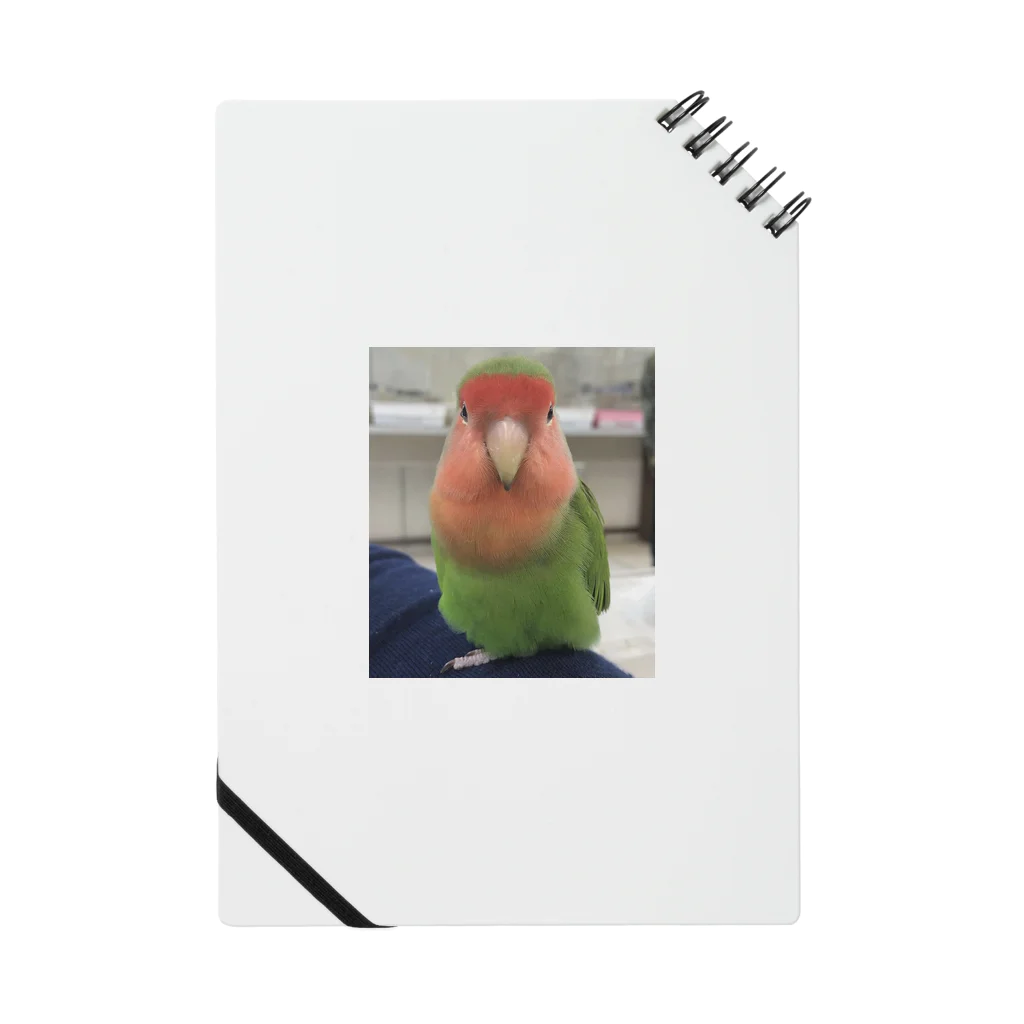 SHINeeのコザクラインコちゃん Notebook