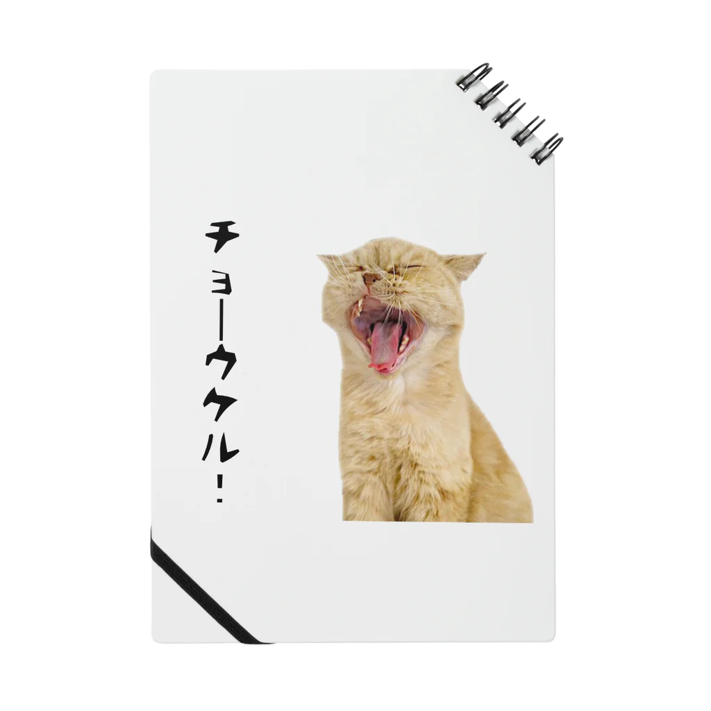 おもち&小町🐈のチョーウケル Notebook