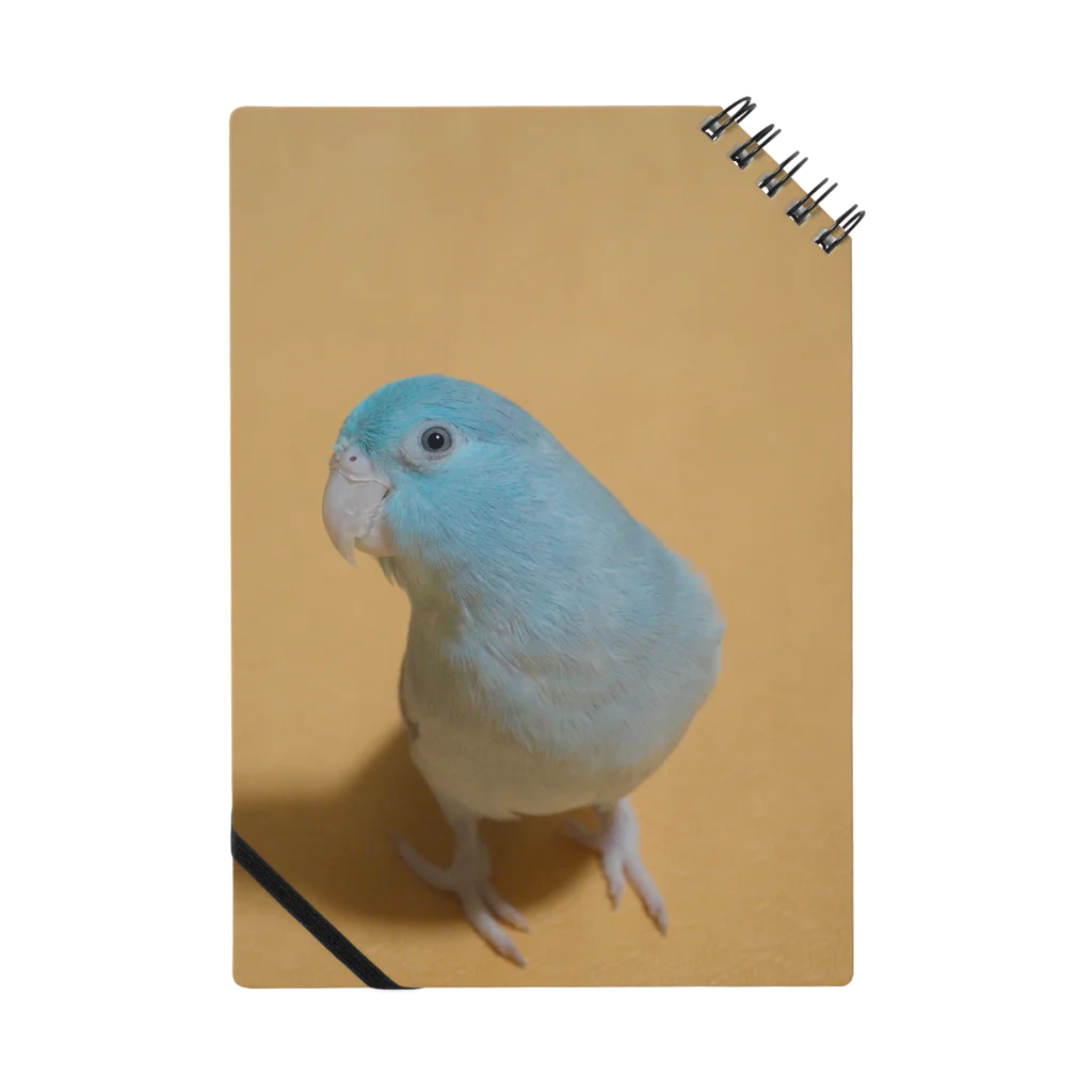 マメルリハグッズショップのマメルリハのゆき Notebook