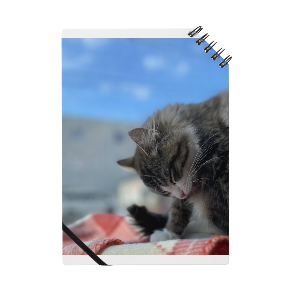 たびねこ蜜柑のたびねこ蜜柑 Notebook