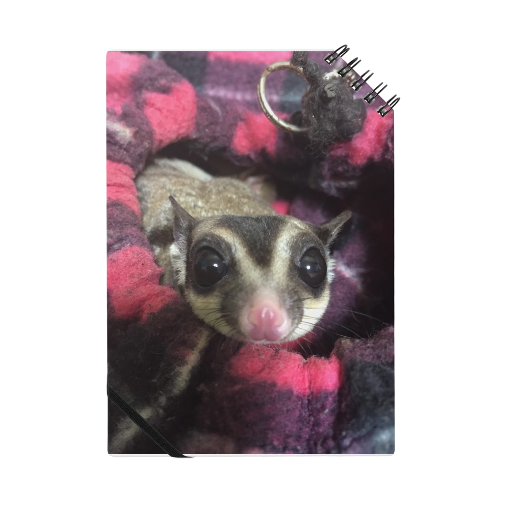 可愛いフクロモモンガ Yasu Exotic Yasu のノート通販 Suzuri スズリ 可愛いフクロモモンガ Yasu Exotic Yasu のノート通販 Suzuri スズリ