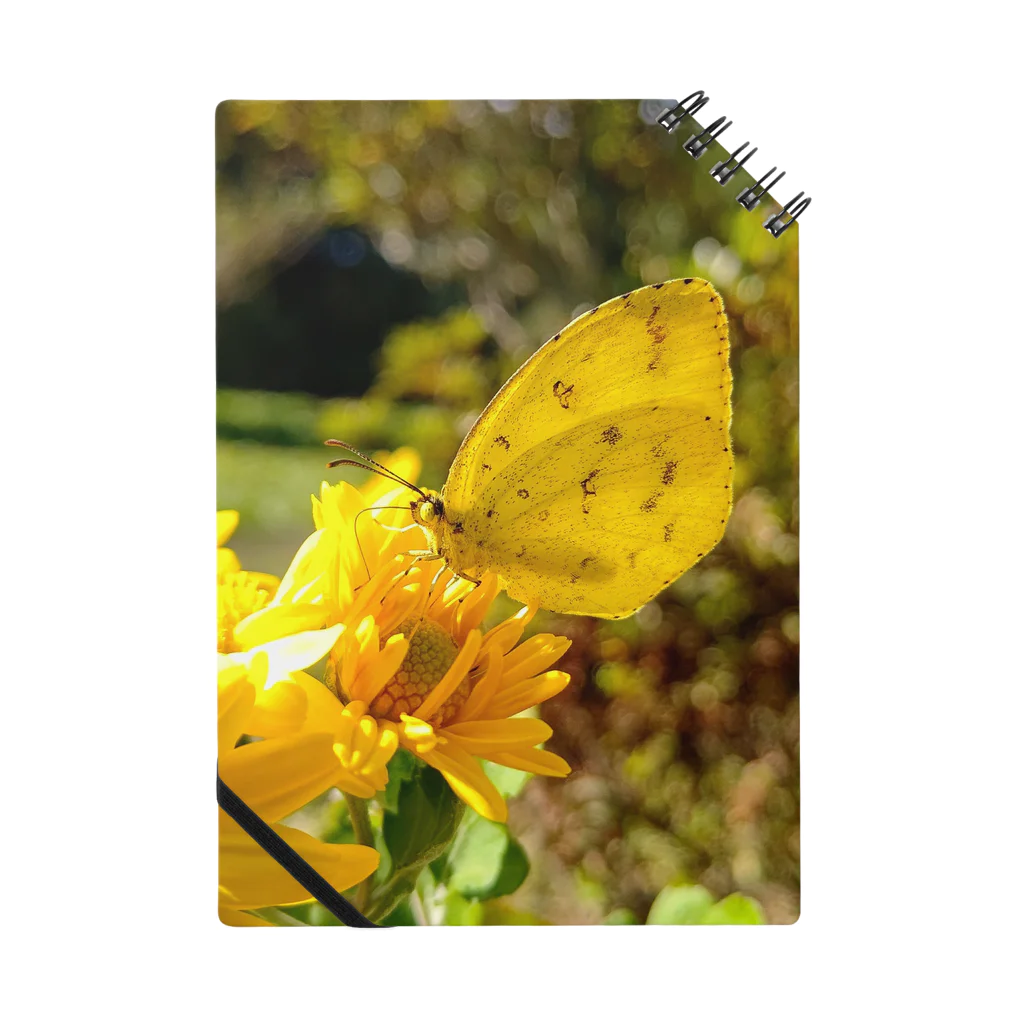 六号商店の花とキタキチョウ Notebook