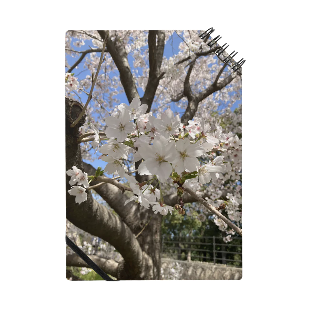 kazucchi shopの桜 ノート