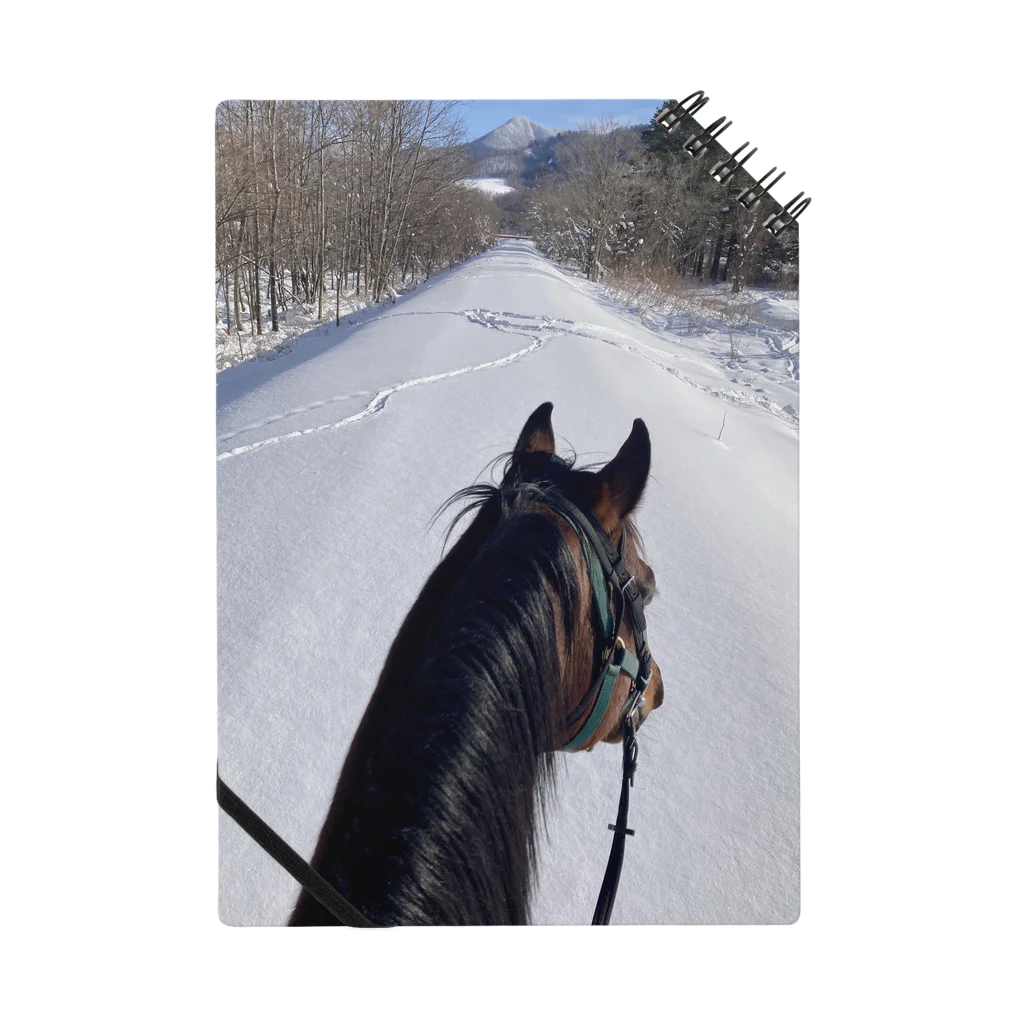 北のうまやのお仕事中の馬　引退競走馬インディ ノート