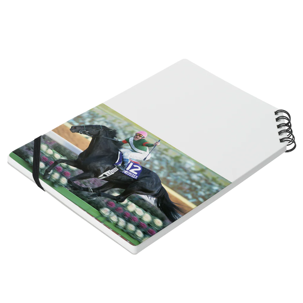 みなみの競馬 Notebook :placed flat