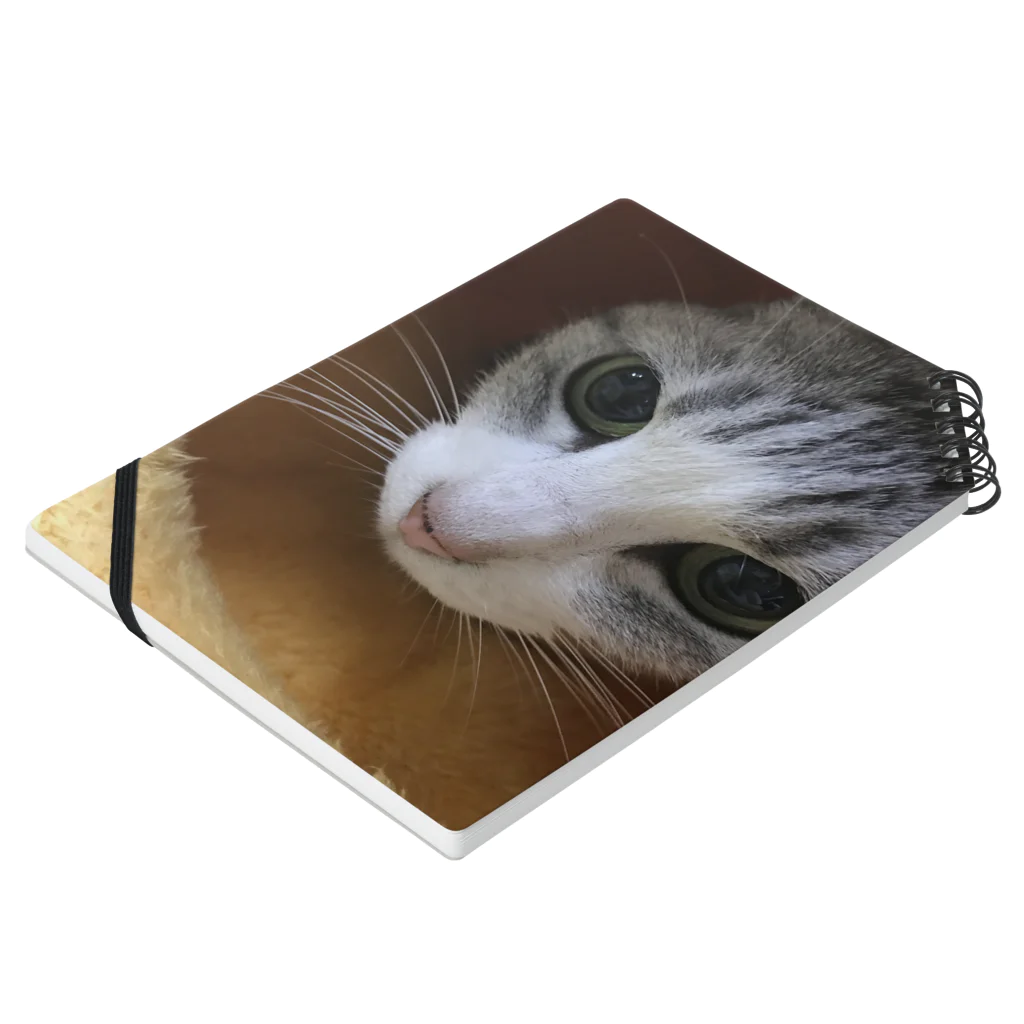 我が家のアイドル達のねこまろ Notebook :placed flat