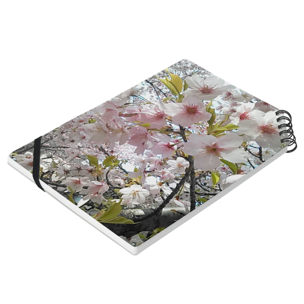 花色七色の桜前線 Notebook :placed flat
