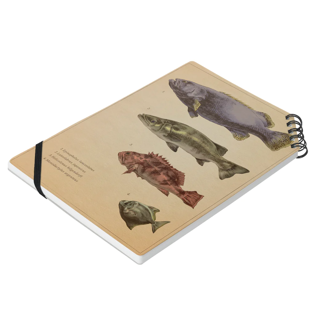 ななめやの魚類画帳 Notebook :placed flat