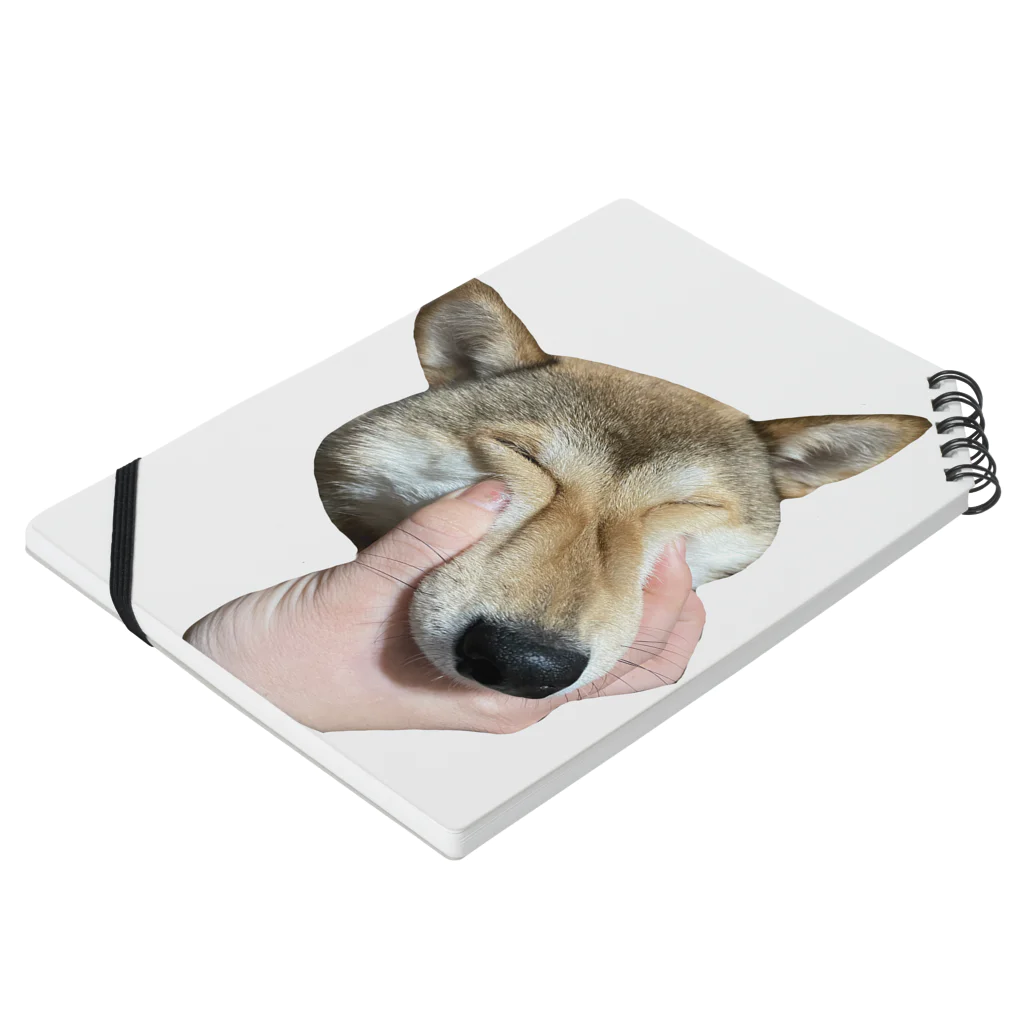 おいしいごはん！のチベットスナギツネに擬態している柴犬 Notebook :placed flat