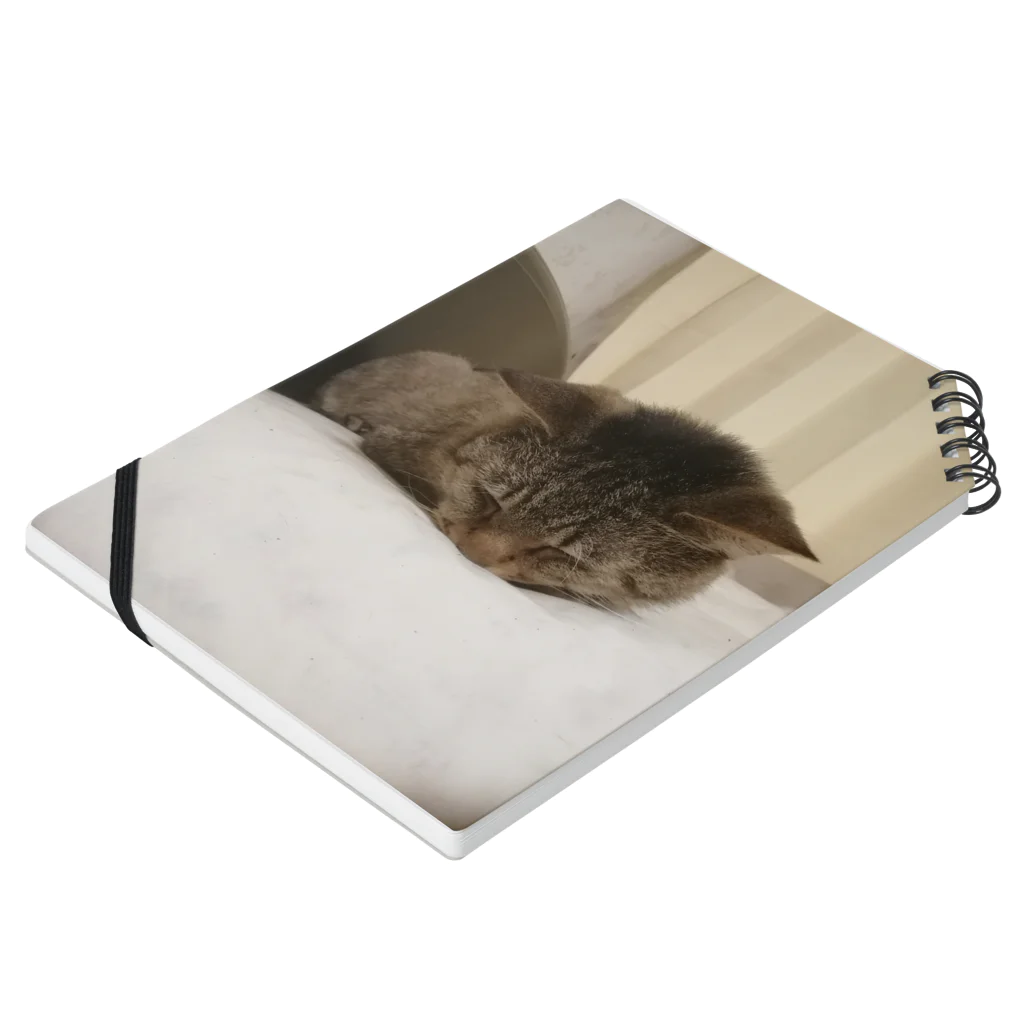 工房かみりゅんの家の猫　茶虎 Notebook :placed flat