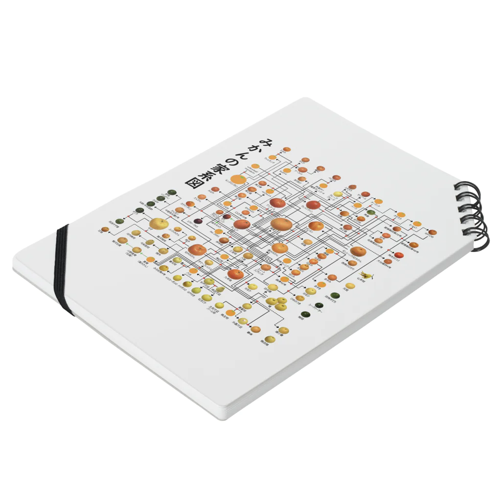 みかんノートのみかんの家系図 ノートの平置き