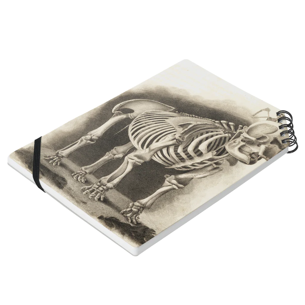 J. Jeffery Print Galleryの銅版画による人体骸骨 ノートの平置き