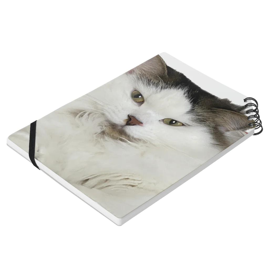 ハチワレ太郎のふてぶてしい猫のグッズ Notebook :placed flat