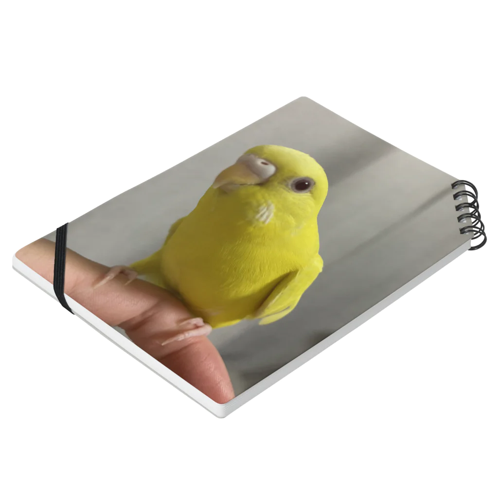 そらゆめインコのルチノーインコ Notebook :placed flat