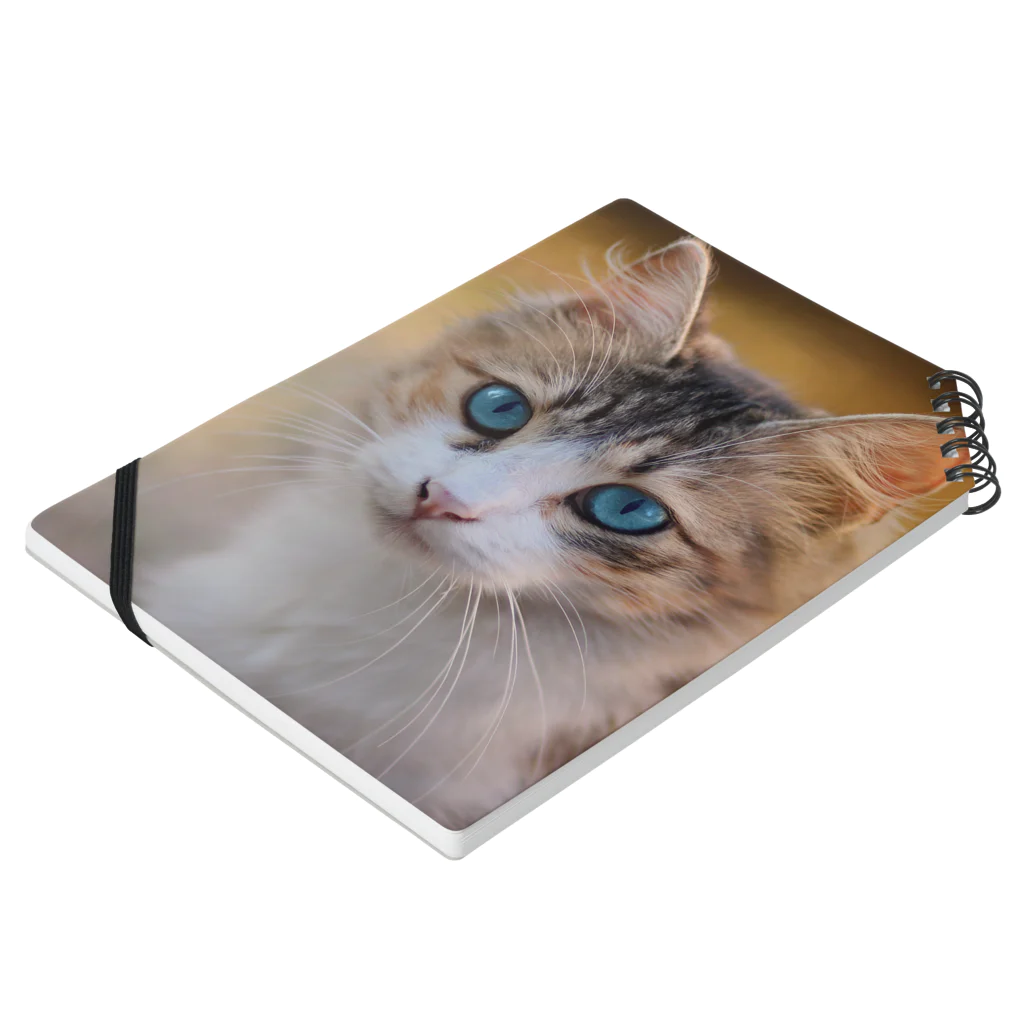 猫アートグッズのAdina Voicu 《Tabby cat with blue eyes》 Notebook :placed flat