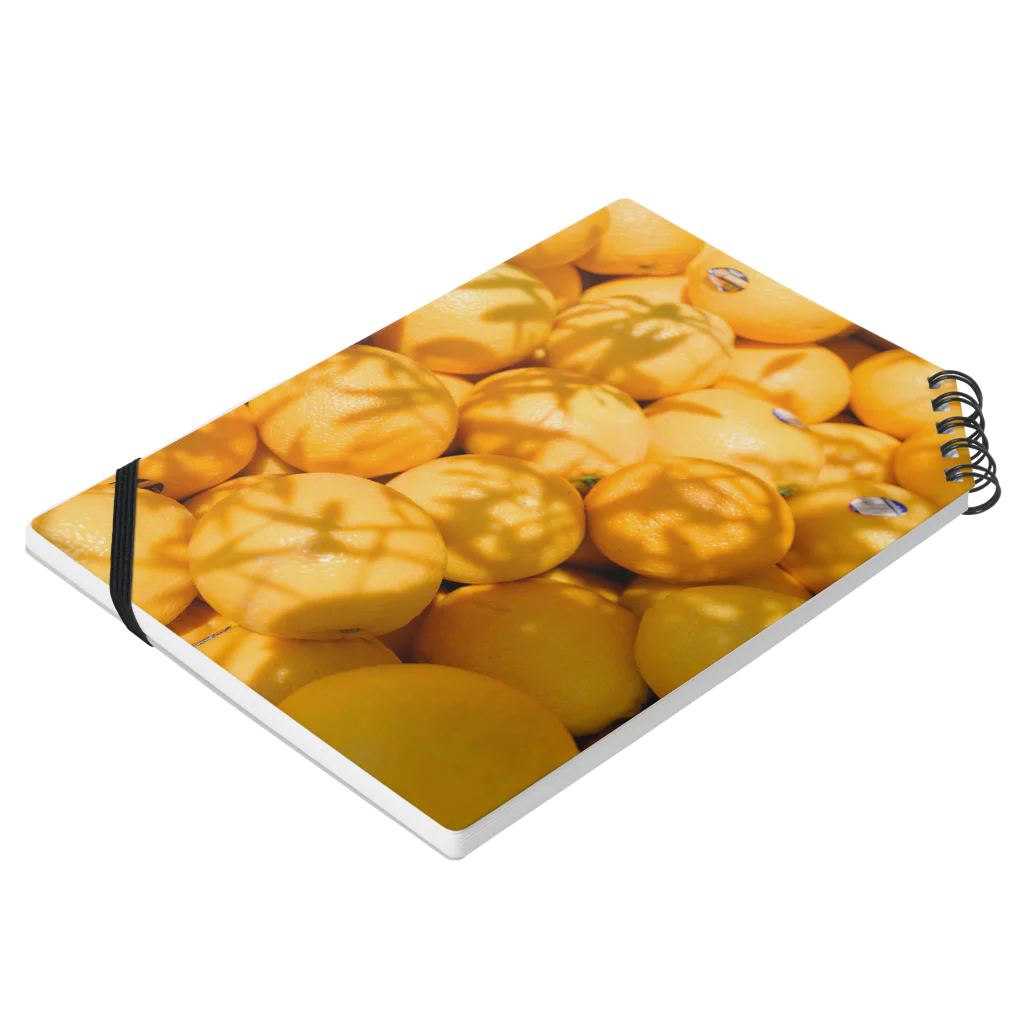 広い海のジューシーオレンジ Notebook :placed flat