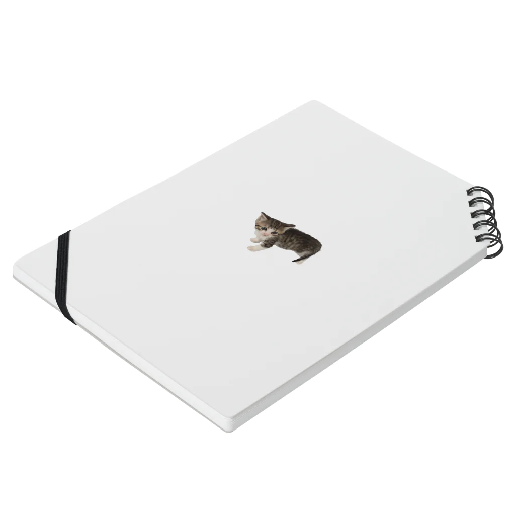 マスターPの小さい猫　ツブちゃん Notebook :placed flat
