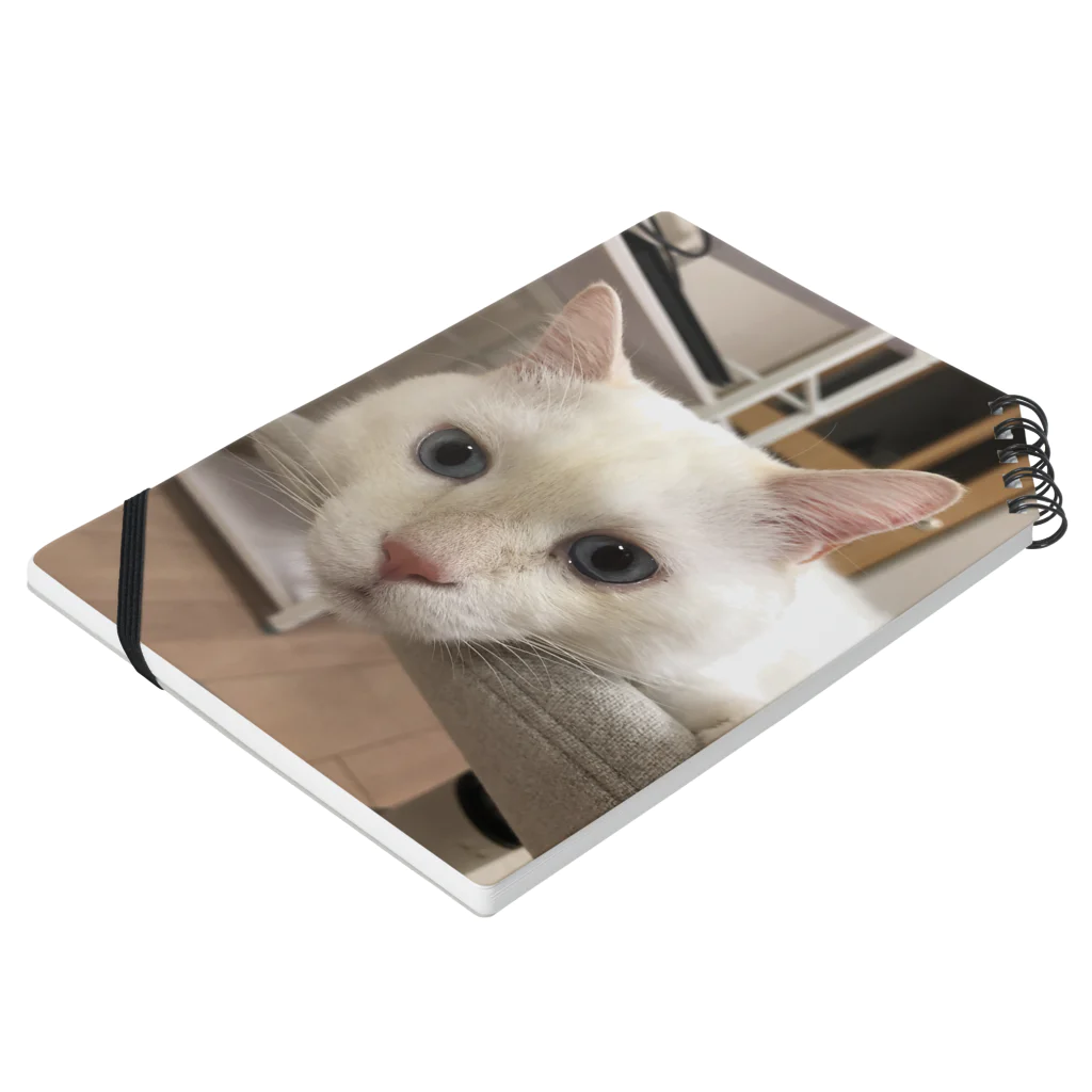 そらにも出来る保護猫支援のメイヨかいちょうそら Notebook :placed flat