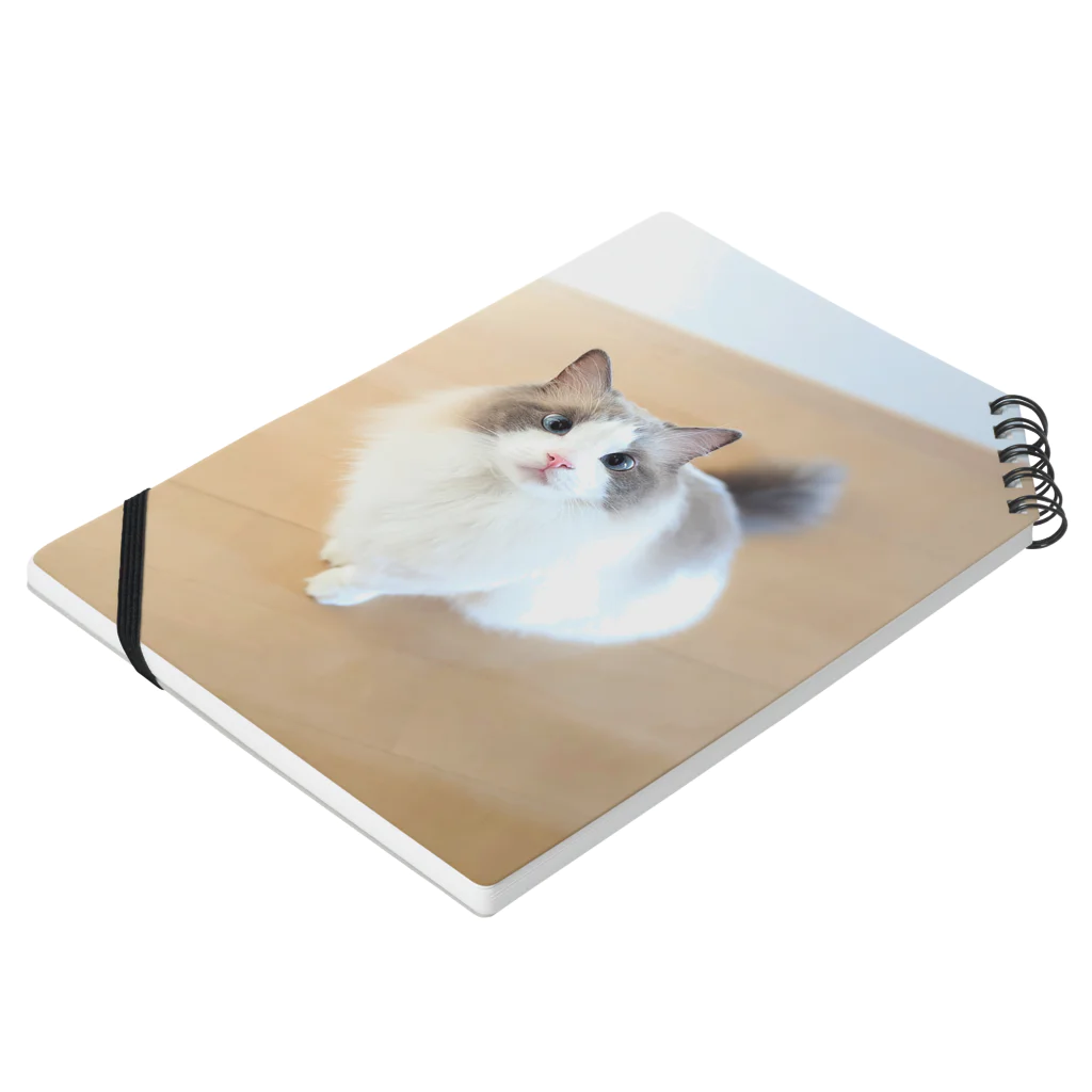 nachiのおうちのおすわりねこ Notebook :placed flat