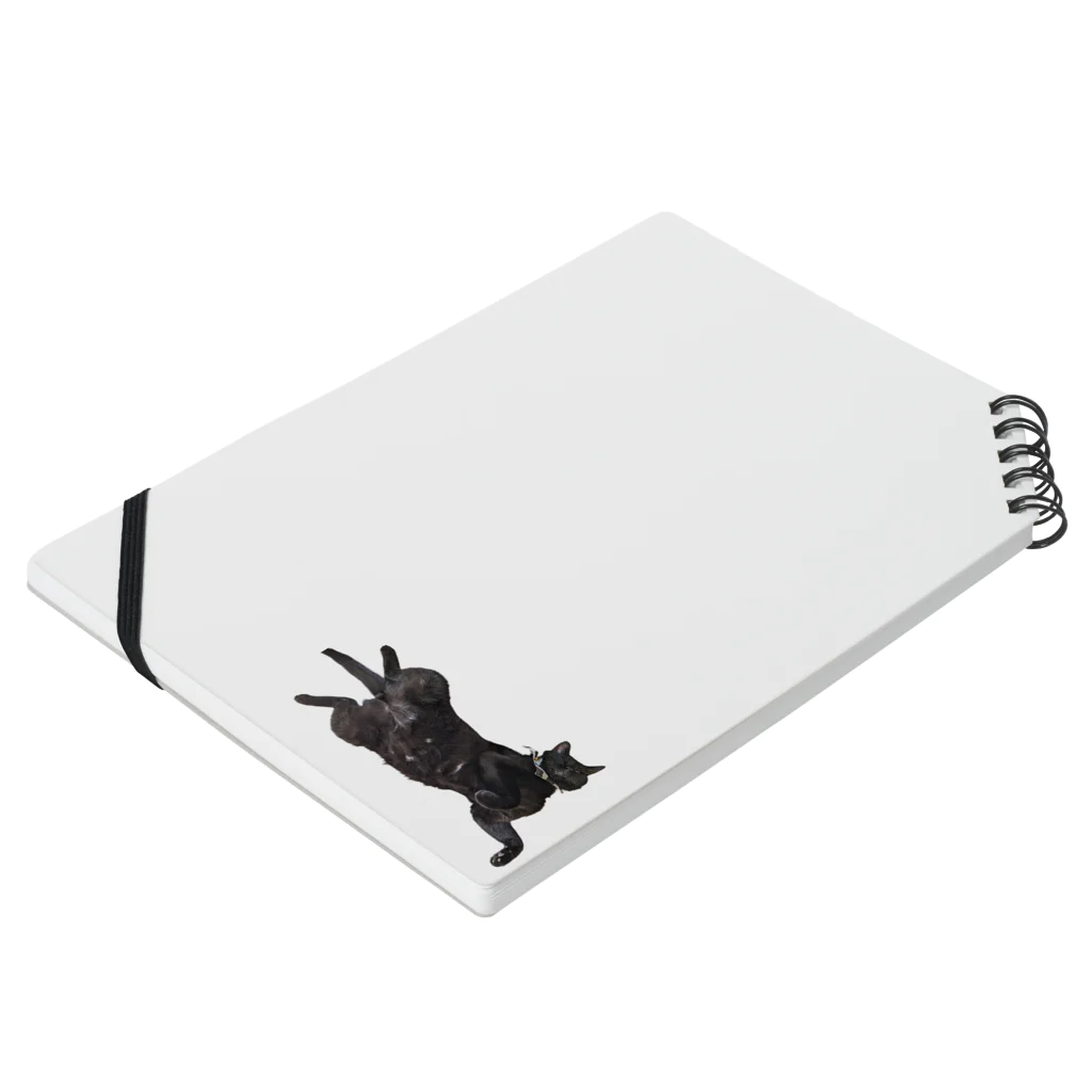 やなぎたの黒猫 Notebook :placed flat