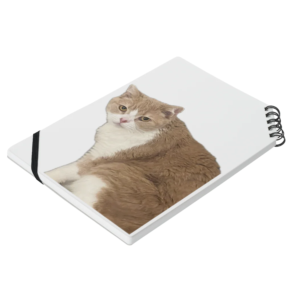 Mashlyのマシロくん猫グッズ Notebook :placed flat