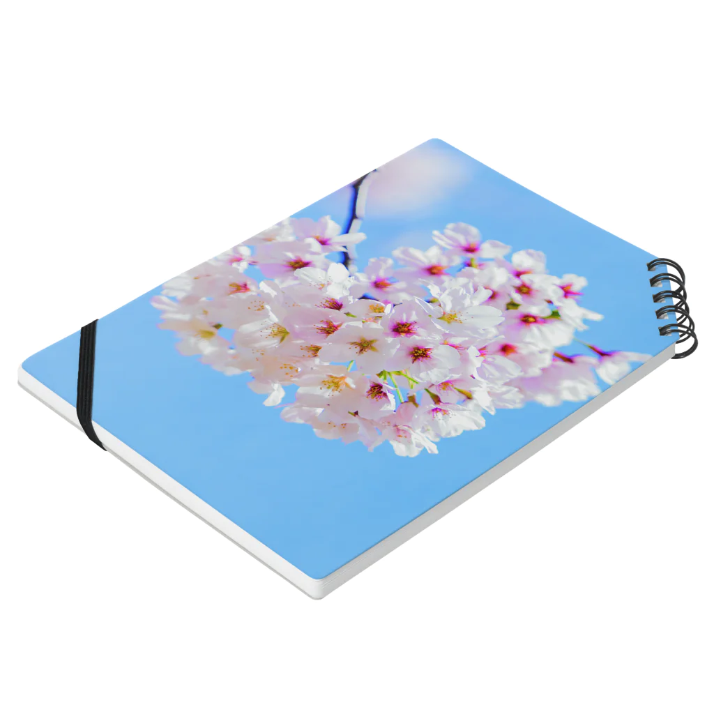 たまむら ひであきの桜その2 Notebook :placed flat