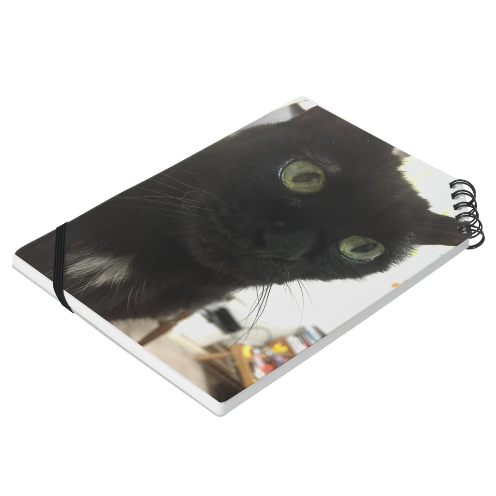 chouchouminekoの猫ノート Notebook :placed flat